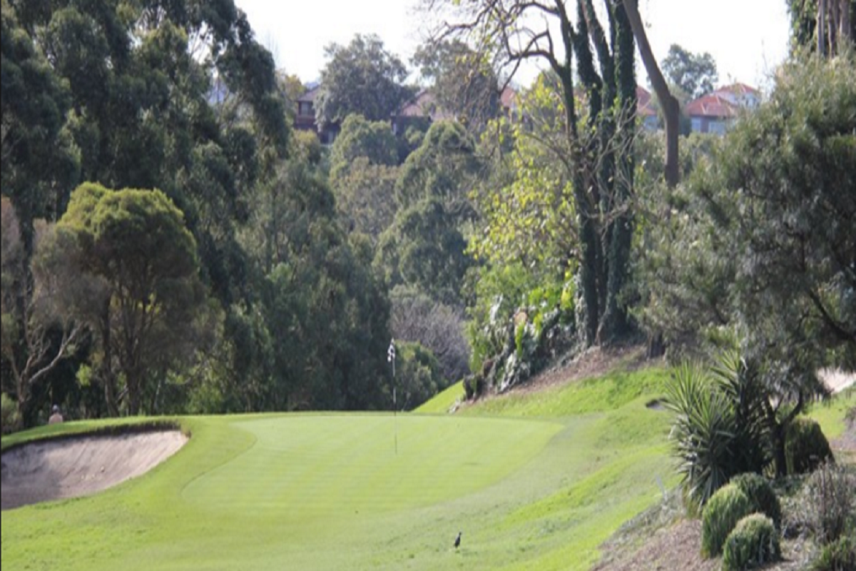 cammeray golf course works